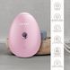 Электронный освежитель для увлажнения лица GESKE Facial Hydration Refresher 4в1 pink HB0170 фото 3