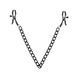 Зажимы для сосков Bedroom Fantasies Nipple Clamps with Chain - Black SO8817 фото 1