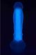 Фалоімітатор Dream Toys, що світиться RADIANT SOFT SILICONE GLOW IN THE DARK DILDO MEDIUM PURPLE DT22047 фото 8